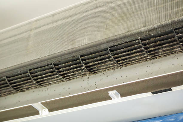 Best Commercial HVAC Duct Cleaning  in Venice Gardens, FL