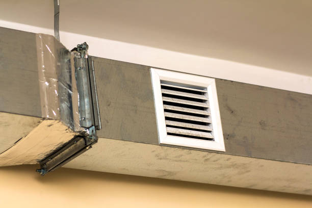 Best Residential Air Duct Cleaning  in Venice Gardens, FL